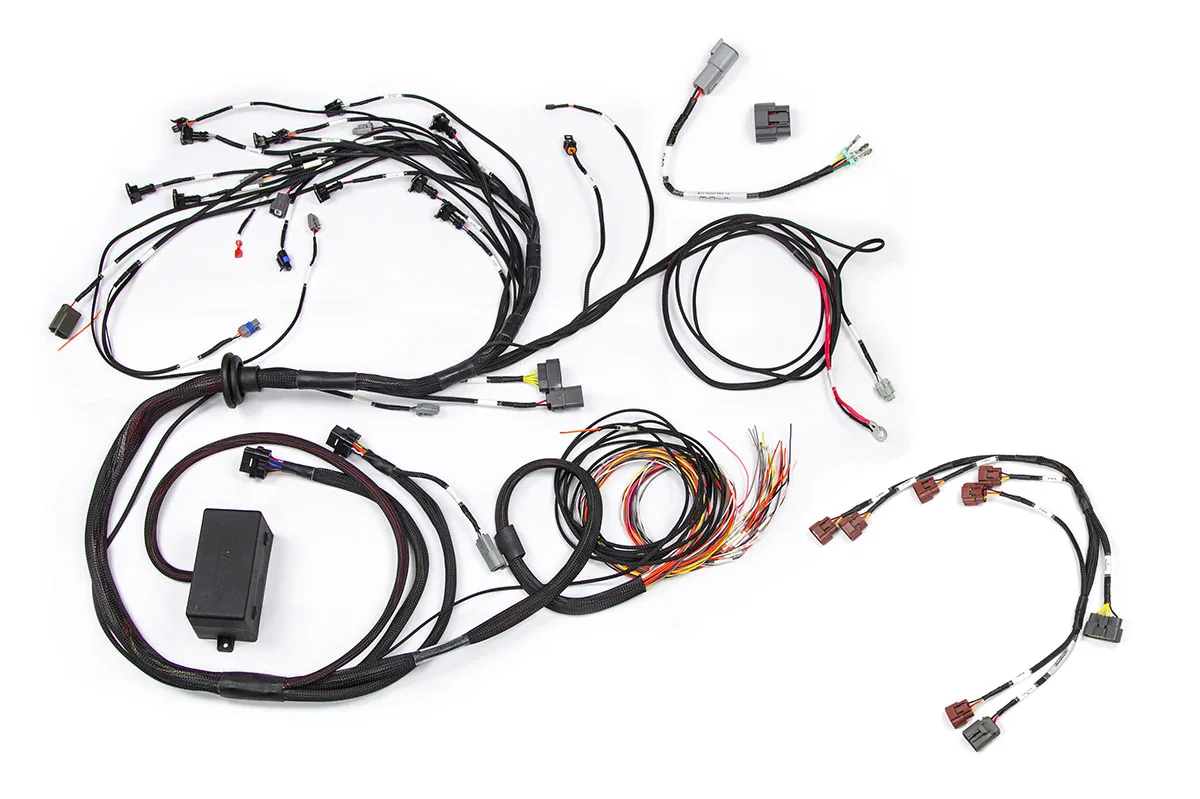 RB Twin CAM Main Harness, CAS Breakout, Early Ignition