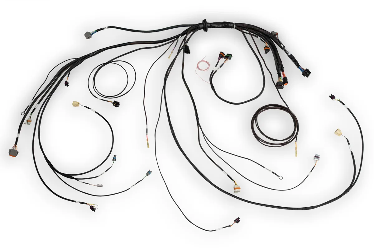 Nexus Rebel LS Main Terminated Harness
