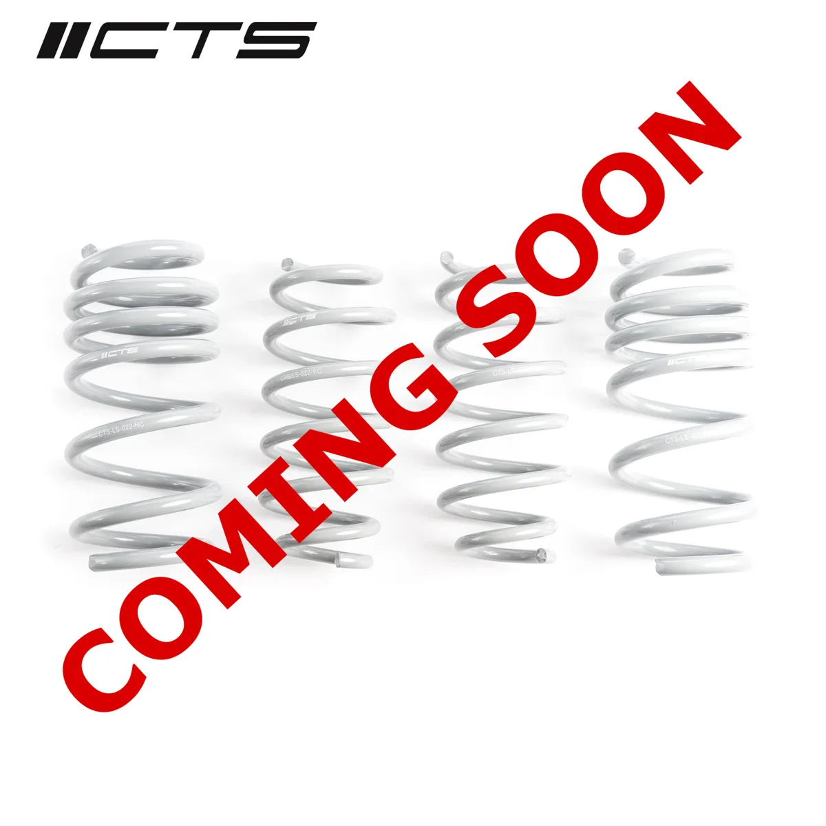 CTS Turbo Tesla Model 3 Standard Range/Standard Range Plus Lowering Springs