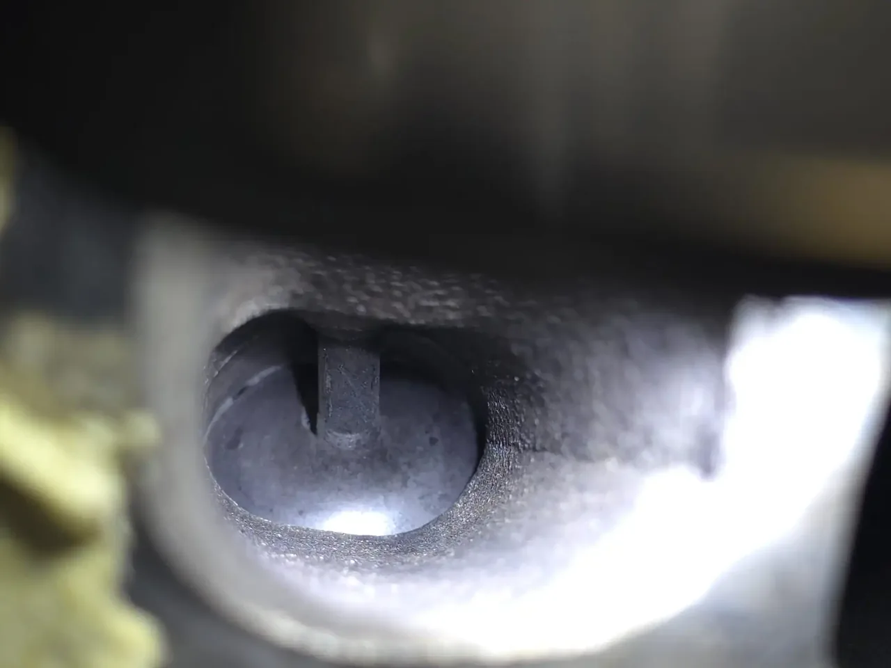 Intake valve in maintained, acceptable condition — clean face with light even deposits, port area essentially intact